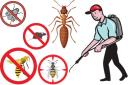 Optimum Services Pest Control logo